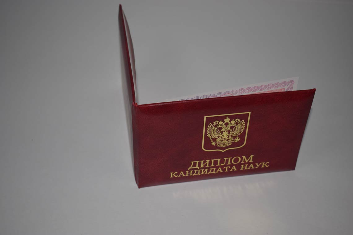 Диплом Кандидата Наук 2013-2016 в Чебоксарах корка